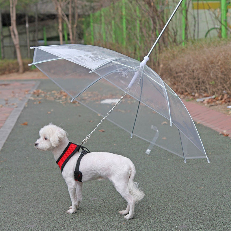 Creative Leash Puppy Raincoat With Dog Leash